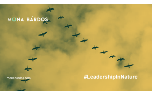 Leadership Lessons from the Sky